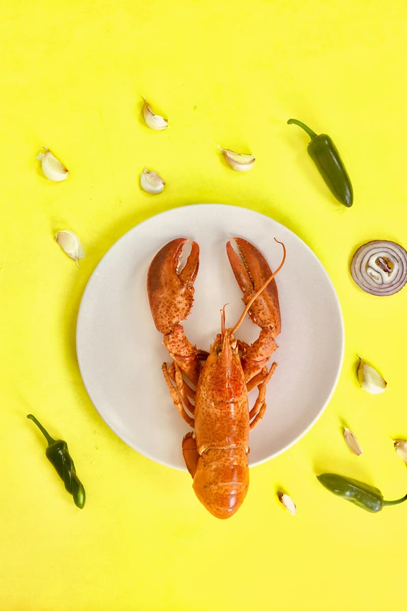 Honest Maine Lobster Now Review 2025