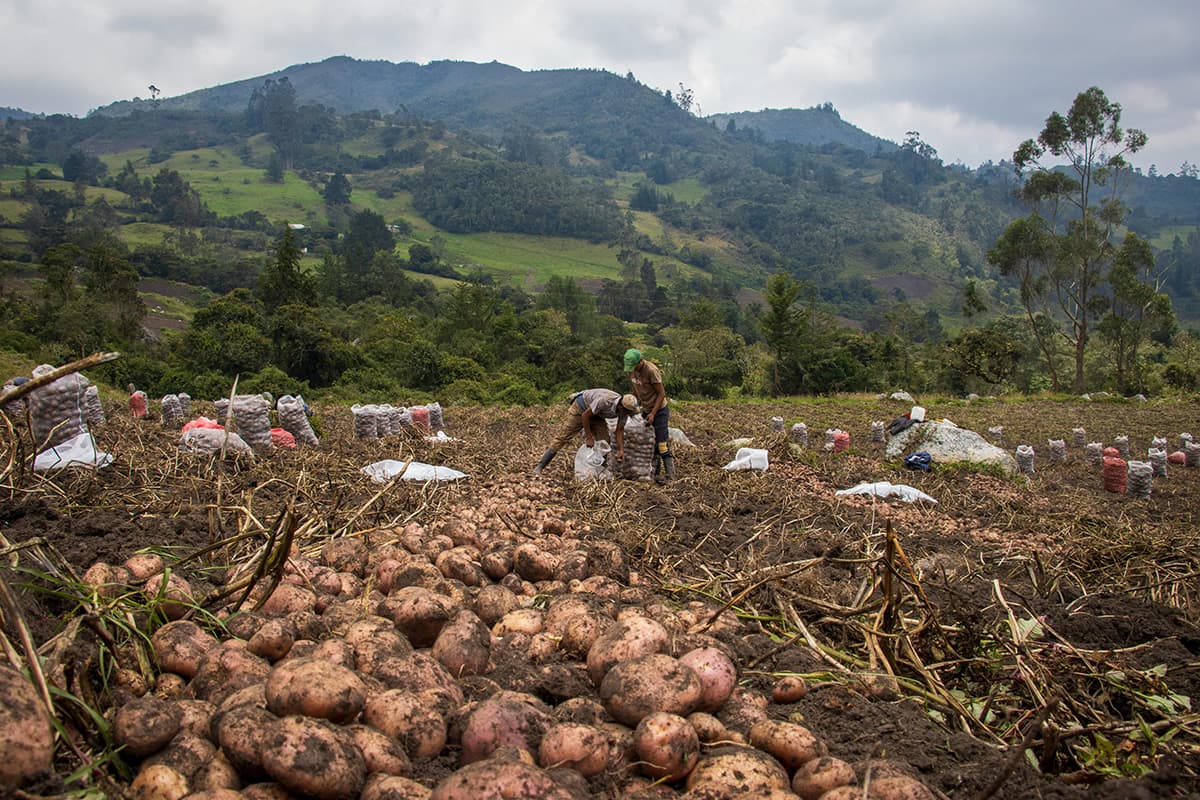 The Other Side of Simple Living: What No One Talks About