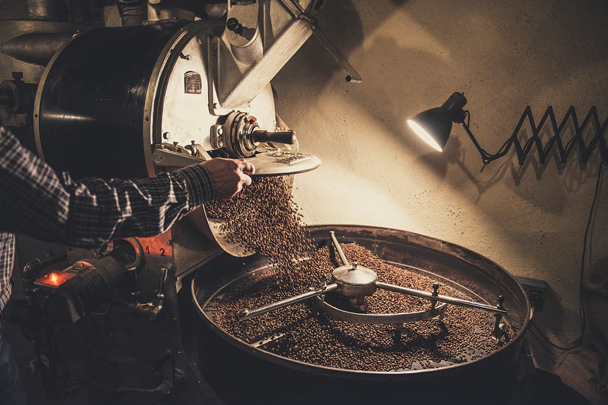 From Farm to Cup: What Defines a Quality Organic Coffee Brand?