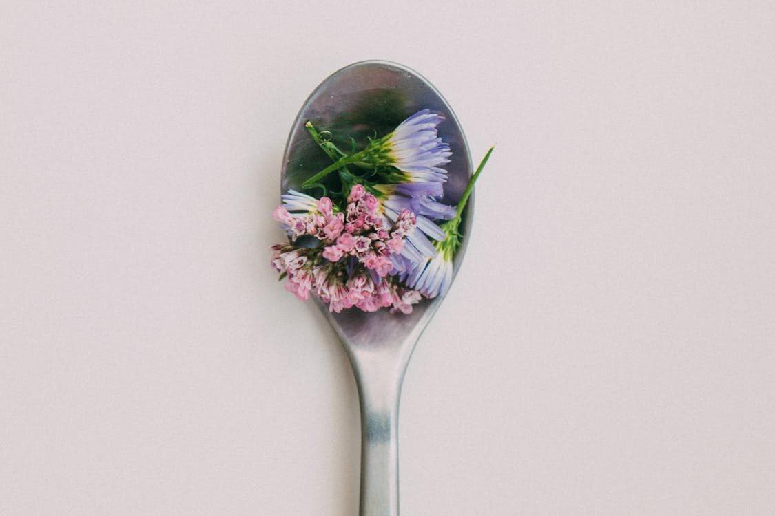 Recipes and creative ideas with edible blooms: a florist’s kitchen guide