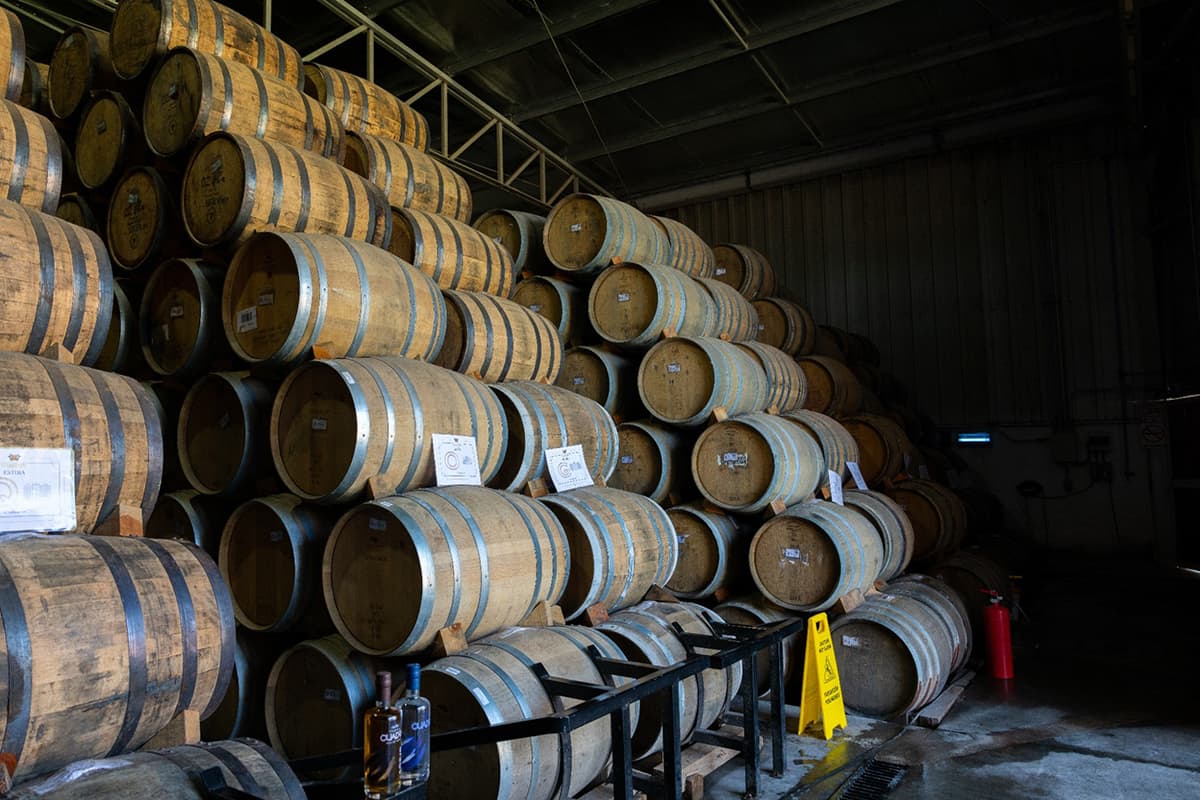 What Sets Premium Agave Spirits Apart from Standard Options