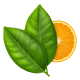 Ingredient: Citrus leaves (lemon, lime, orange)