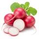 Ingredient: Radish