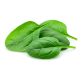Ingredient: Spinach, fresh