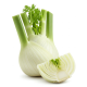 Ingredient: Fennel, bulb