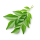 Ingredient: Curry leaves, fresh or dried