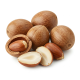 Ingredient: Candlenuts
