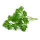 Ingredient: Parsley, fresh