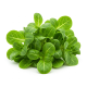 Ingredient: Lamb's lettuce