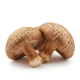 Ingredient: Shiitake