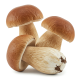 Ingredient: Dried ceps