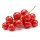 Ingredient: Red currant