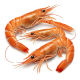 Ingredient: Scampi or langoustine