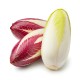 Ingredient: Endive lettuce, fresh