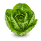 Ingredient: Little gem (lettuce)