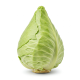 Ingredient: Pointed cabbage, raw