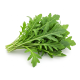 Ingredient: Rocket, lettuce (arugula)