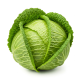 Ingredient: Green cabbage, raw