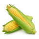 Ingredient: Corn on the cob, cooked