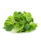 Ingredient: Lettuce (normal, mixed)