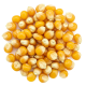 Ingredient: Corn, whole grain