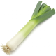 Ingredient: Leek, fresh