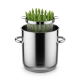 Kitchen equipment needed: Asparagus pot