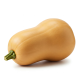 Ingredient: Pumpkin, raw
