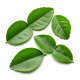 Ingredient: Lime leaves (fresh or dried)