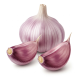 Ingredient: Garlic, raw