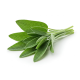 Ingredient: Sage, fresh
