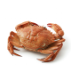 Ingredient: Crab