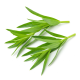 Ingredient: Tarragon, fresh