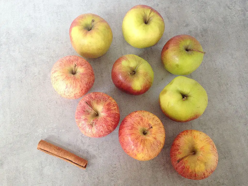 Home-made apple sauce ingredients