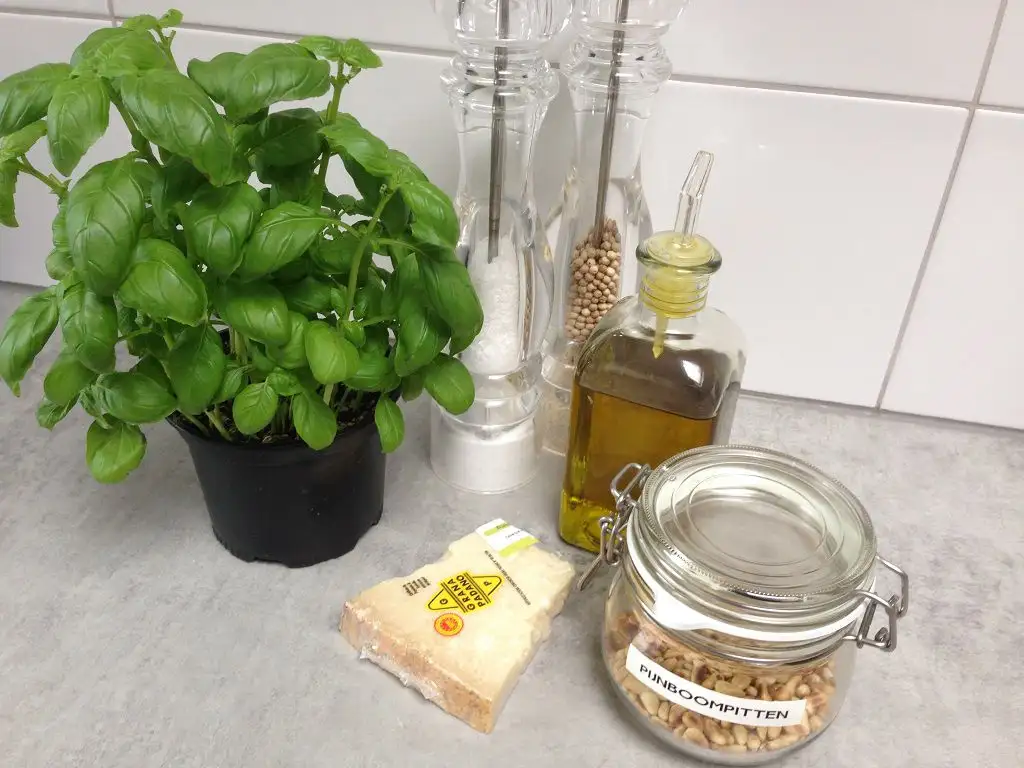 Home-made pesto ingredients