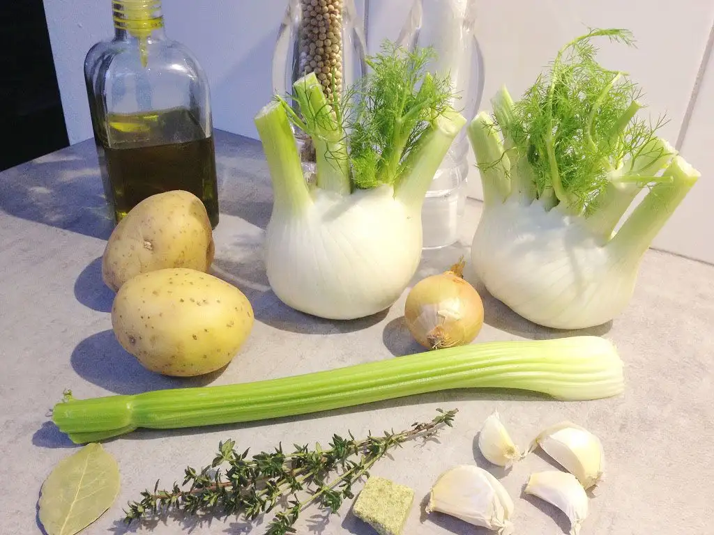 Fennel soup ingredients