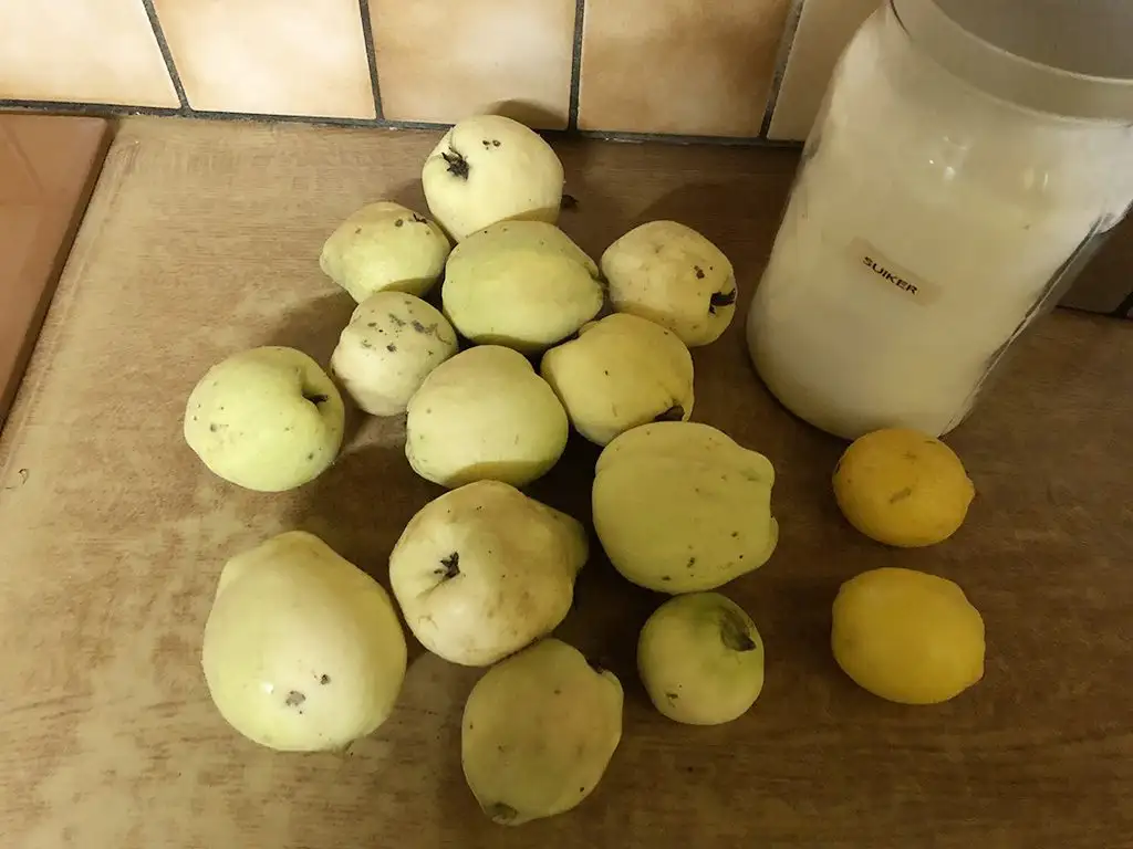Quince candy ingredients