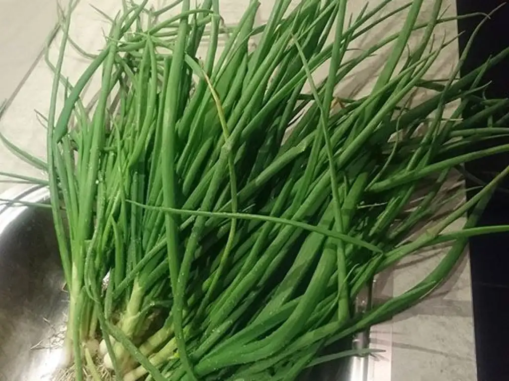 Spring onion soup ingredients