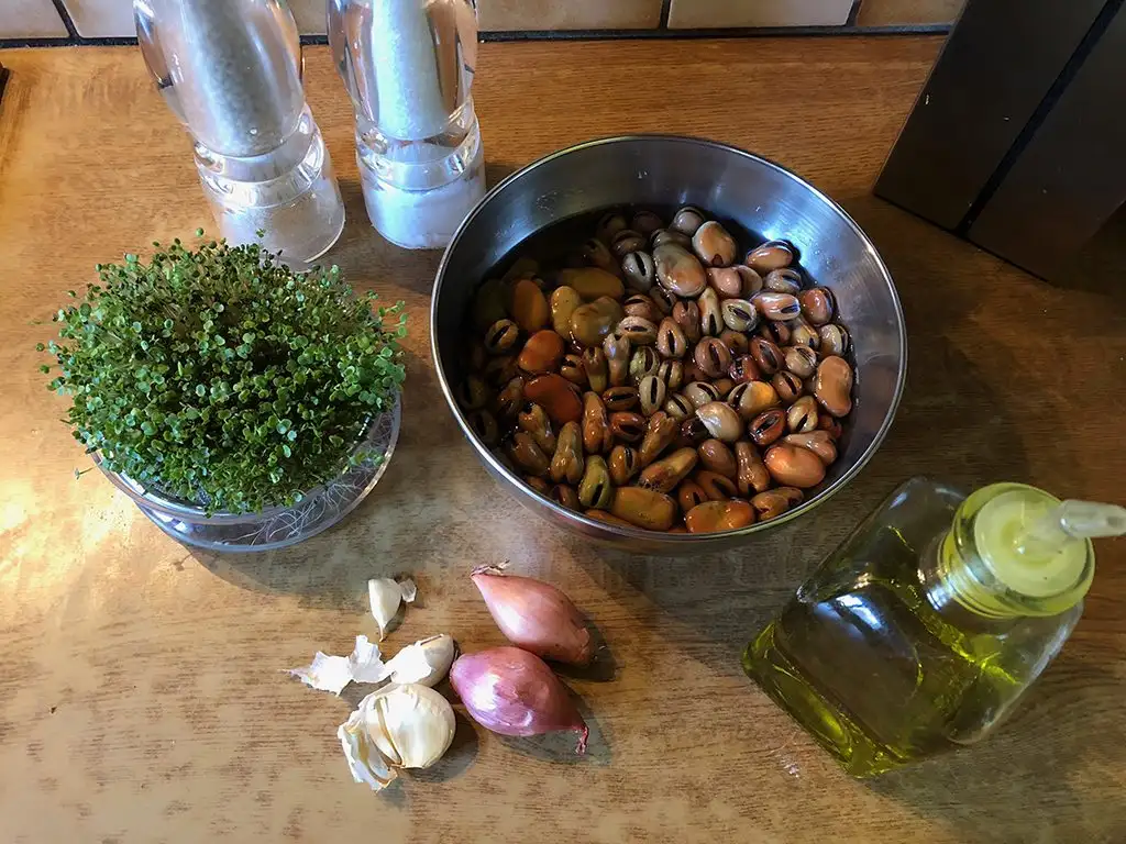Pan fried broad beans with garlic ingredients