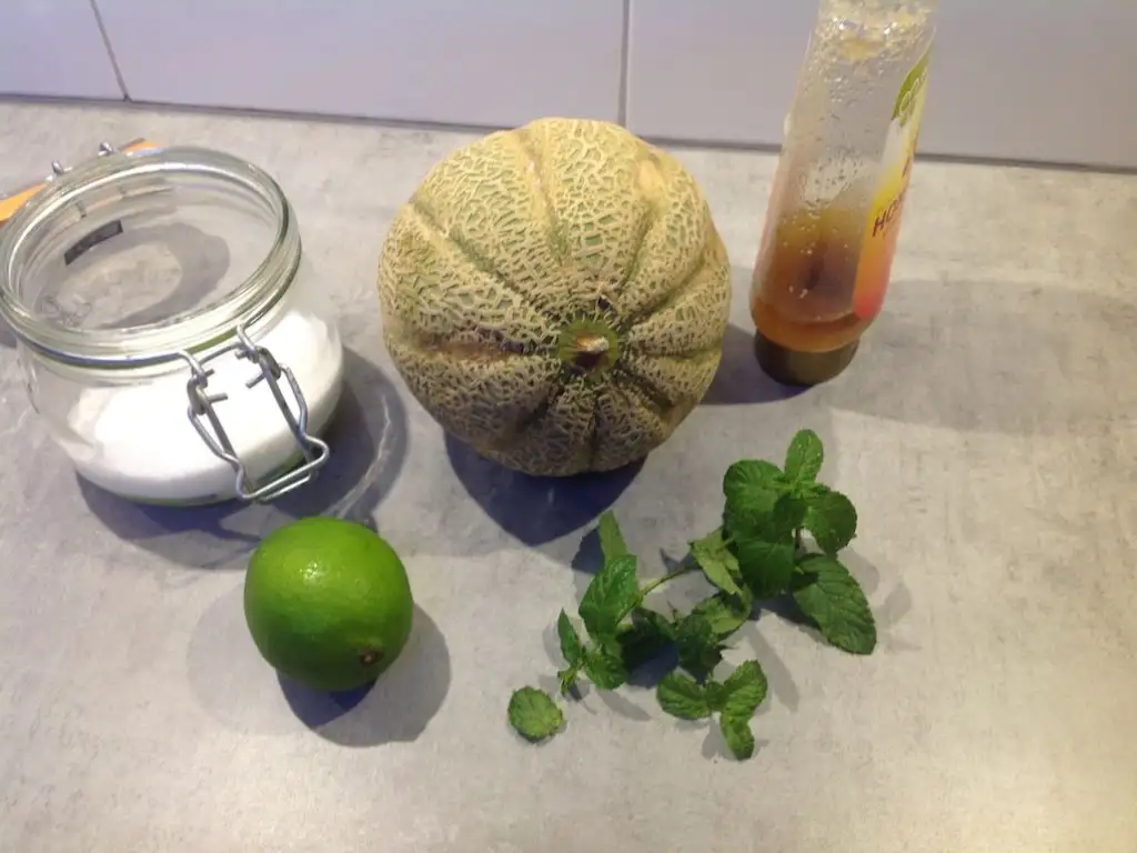 Cantaloupe with lime, mint and honey ingredients