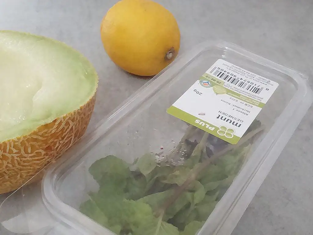 Sugar-free minty melon granita ingredients