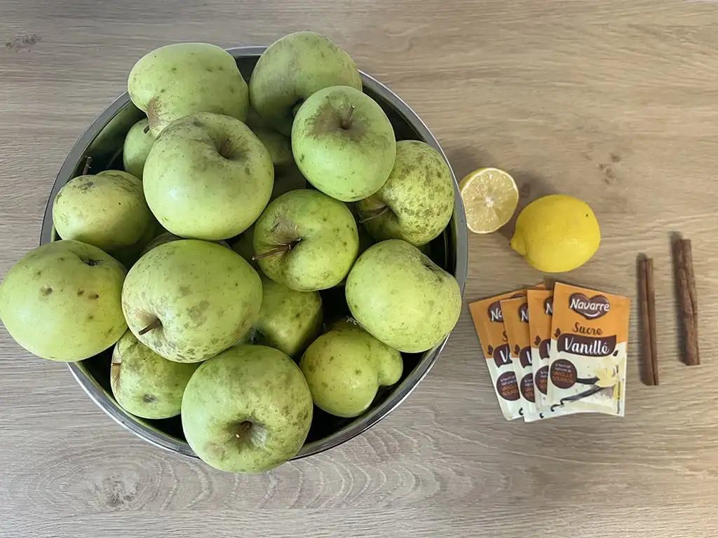 Homemade apple compote ingredients