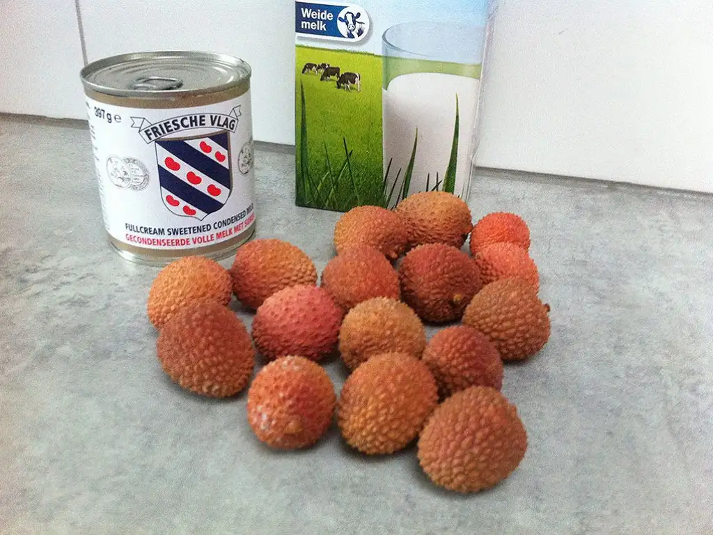 Lychee ice cream ingredients