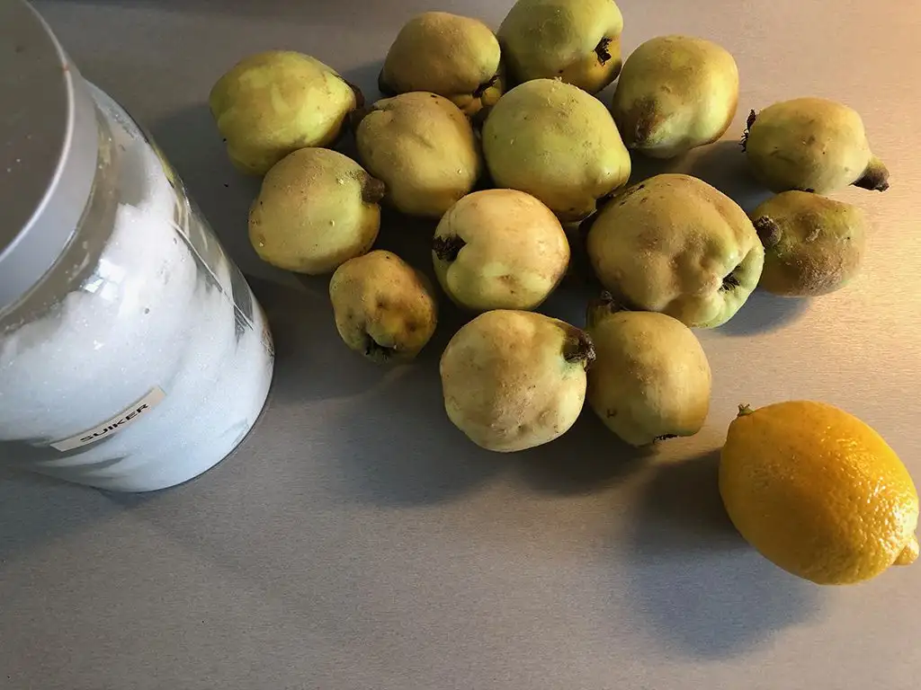 Quince jelly ingredients