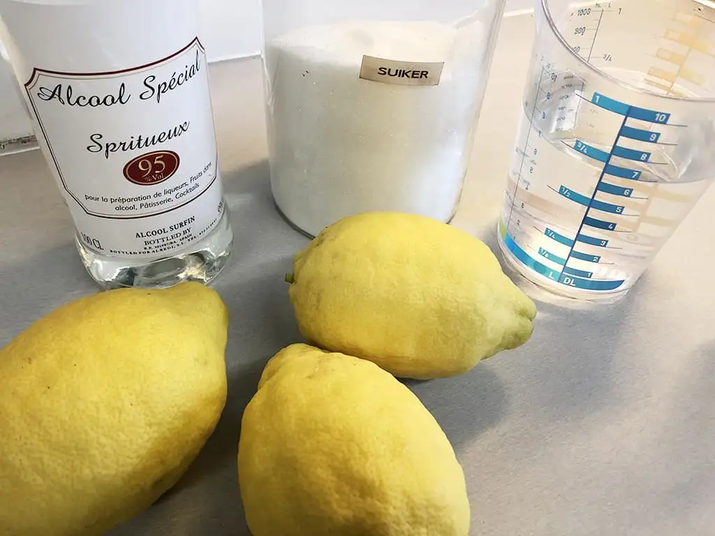 Make your own limoncello ingredients