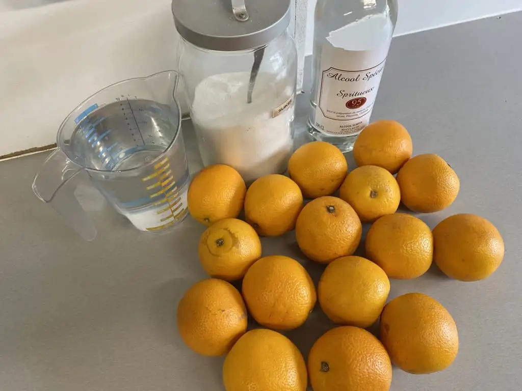 Homemade arancello ingredients