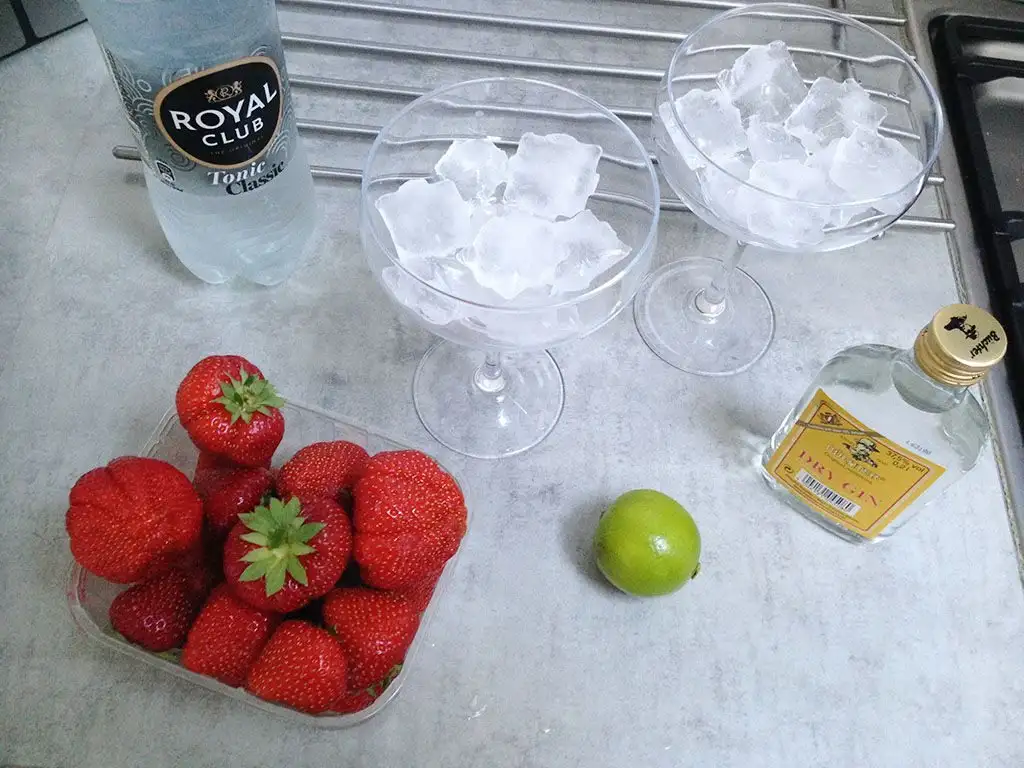 Strawberry lime Gin and Tonic ingredients