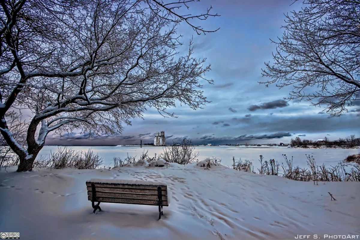 Beat your winter blues with these easy food tips