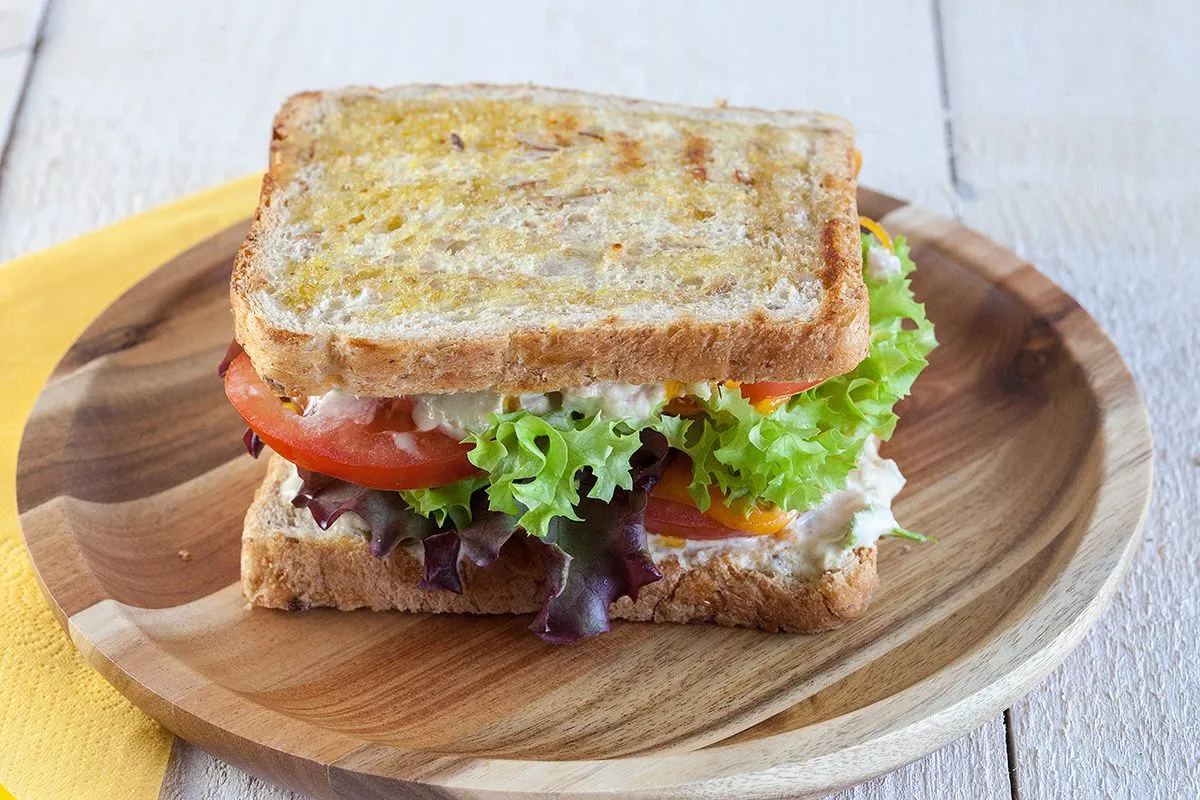 Tuna melt sandwich