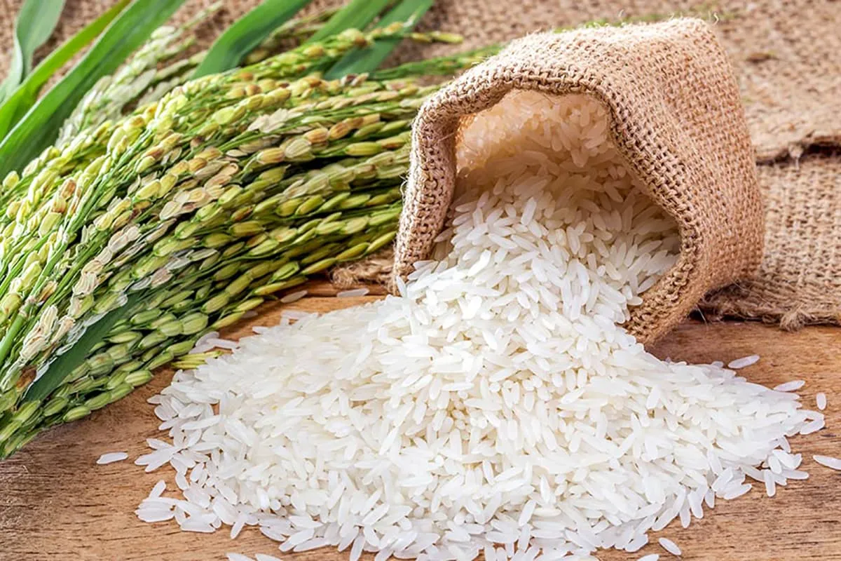 Why is Rice a Staple Food in Asia